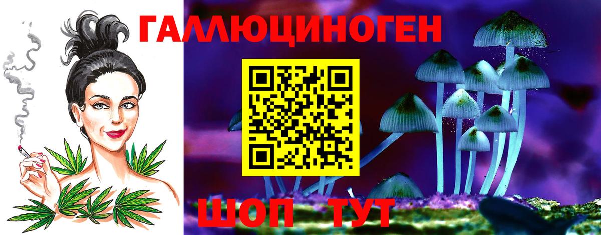 Менделеевск  Галлюциногенные грибы мухоморы  Псилоцибиновые грибы мухоморы  Вход с VPN 