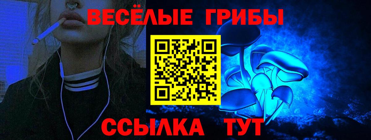 Псилоцибиновые грибы GOLDEN TEACHER Менделеевск